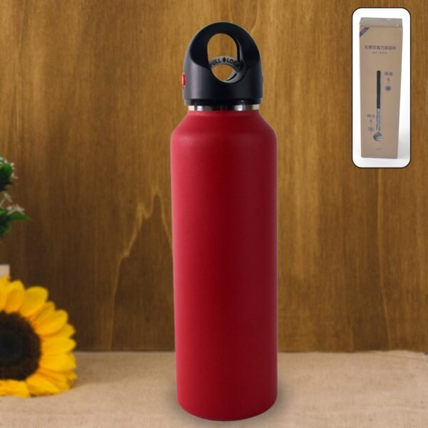 Customize Vacuum Insulated Stainless Steel Water Bottle (630 ML)